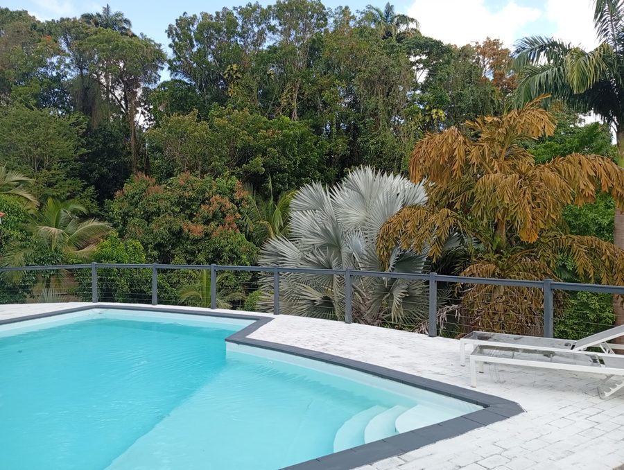 Villa Didier : piscine et transats