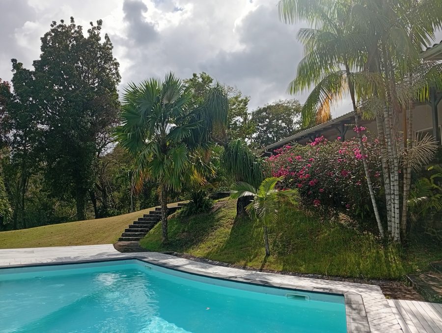 Villa Didier : piscine vue du parc